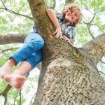 Blonder Junge klettert stolz auf einen Baum