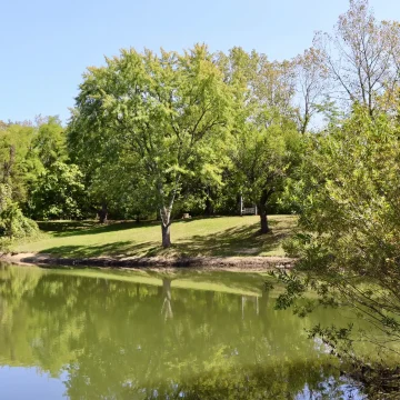 Teich in einem Park