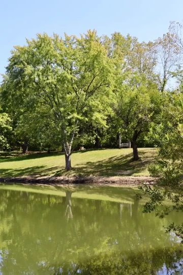 Teich in einem Park