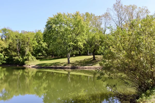 Teich in einem Park