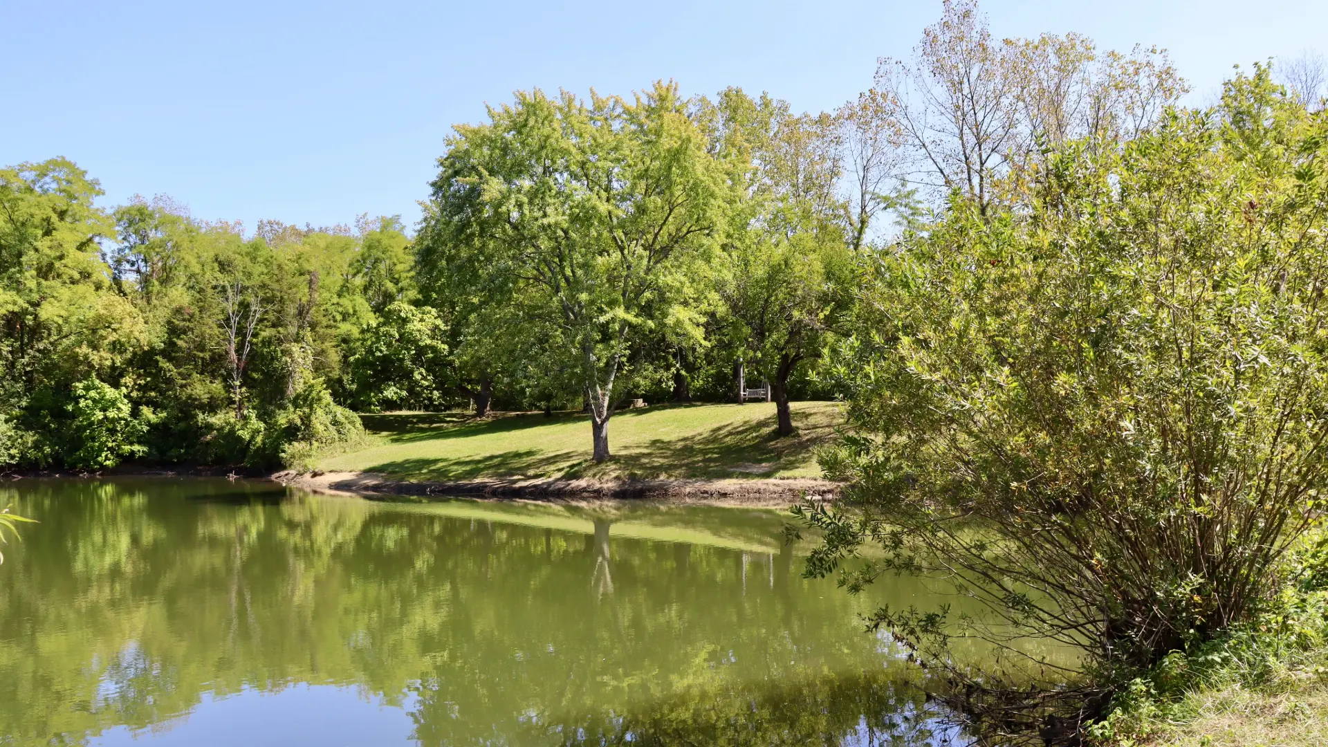 Teich in einem Park